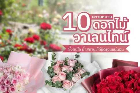 10 ความหมายดอกไม้วาเลนไทน์